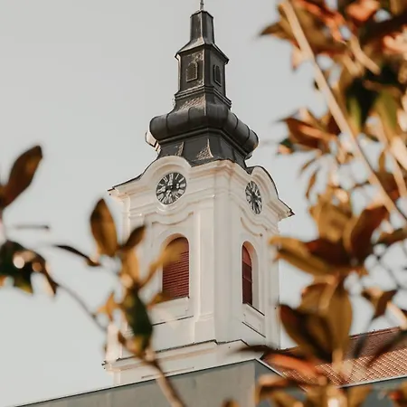 Diwine House Fruska Gora Irig