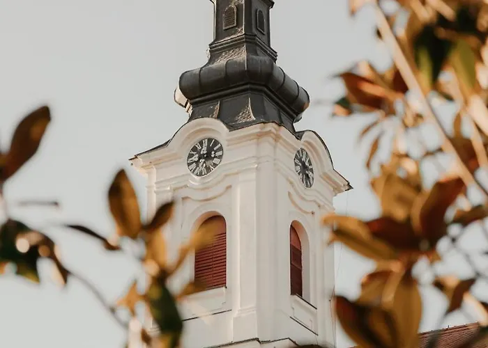 Diwine House Fruska Gora Irig